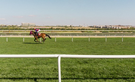 course hippique chevaux tony