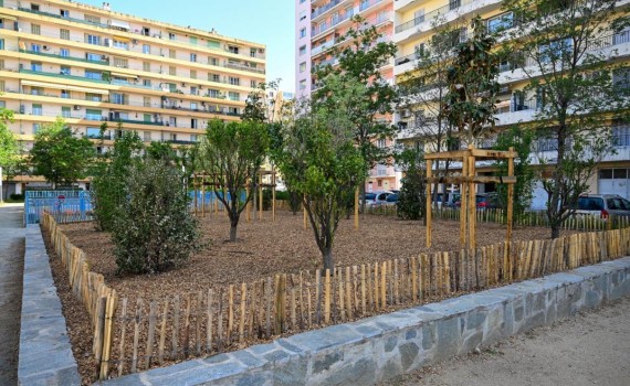 quartier des cannes
