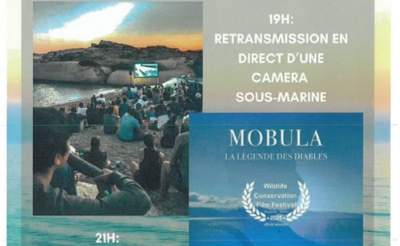 Lumiu : l’association « I Sbuleca Mare » organise une soirée caméra sous-marine