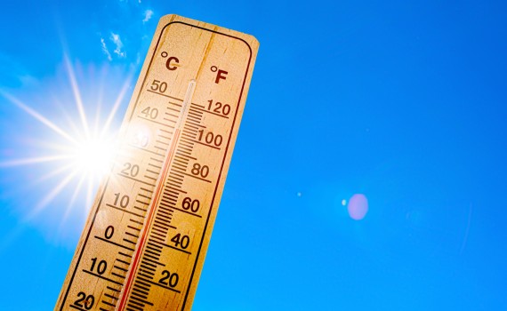 canicule