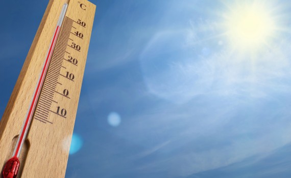 canicule