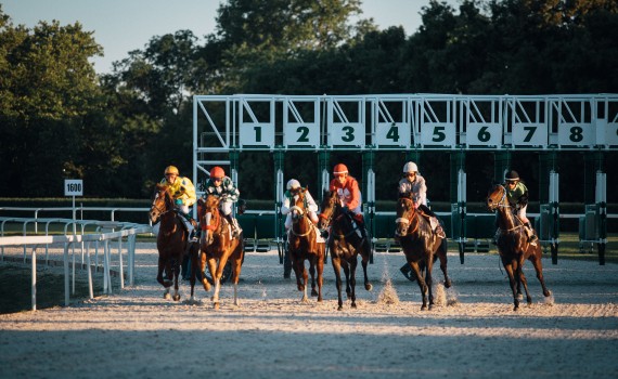course hippique chevaux