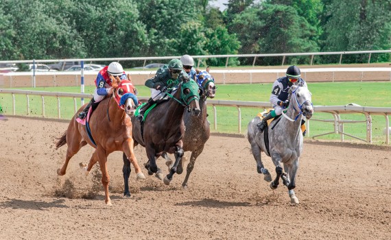 hippique course chevaux