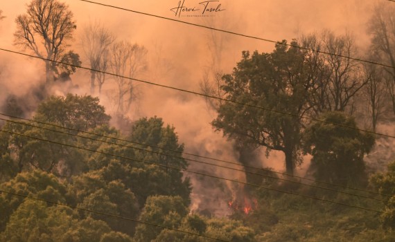 feu de Biguglia