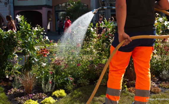arrosage restriction eau secheresse