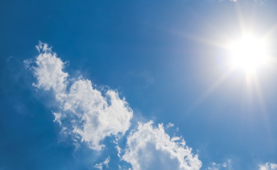 canicule