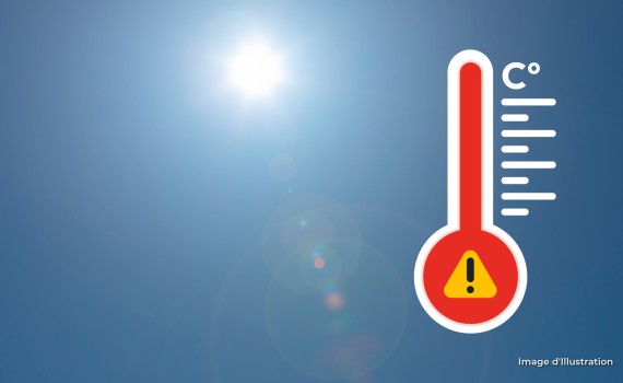 Canicule