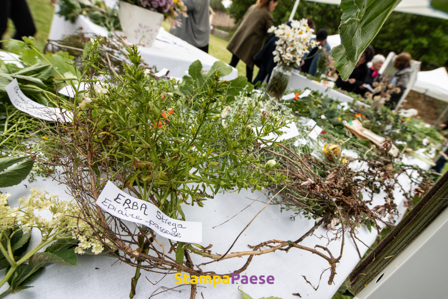 Révolution des jardins