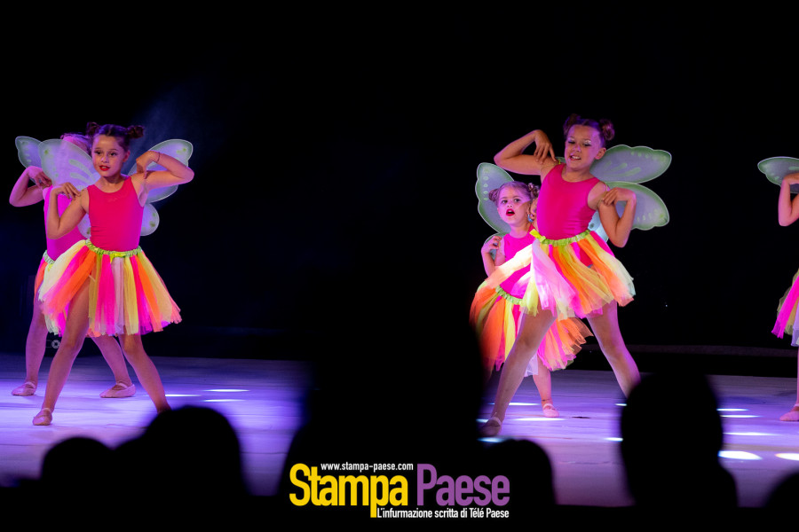 spectacle mdanse