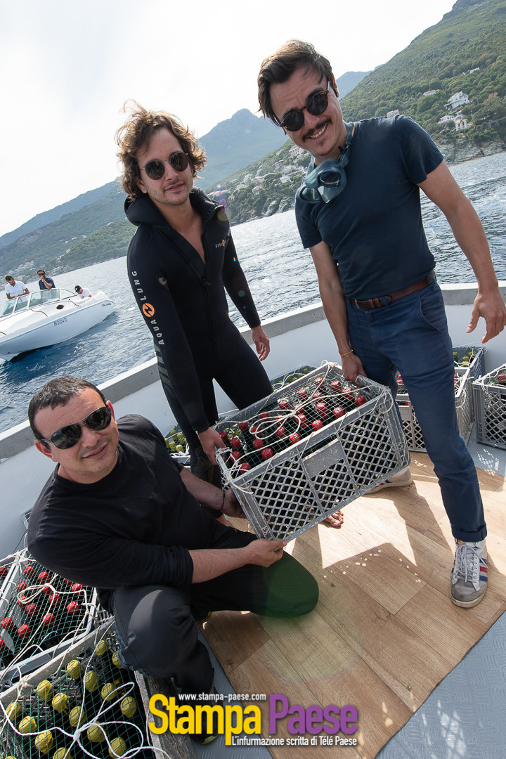 immersion bouteilles de vin en mer