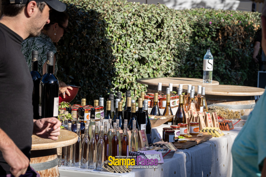 Ouverture foire isula