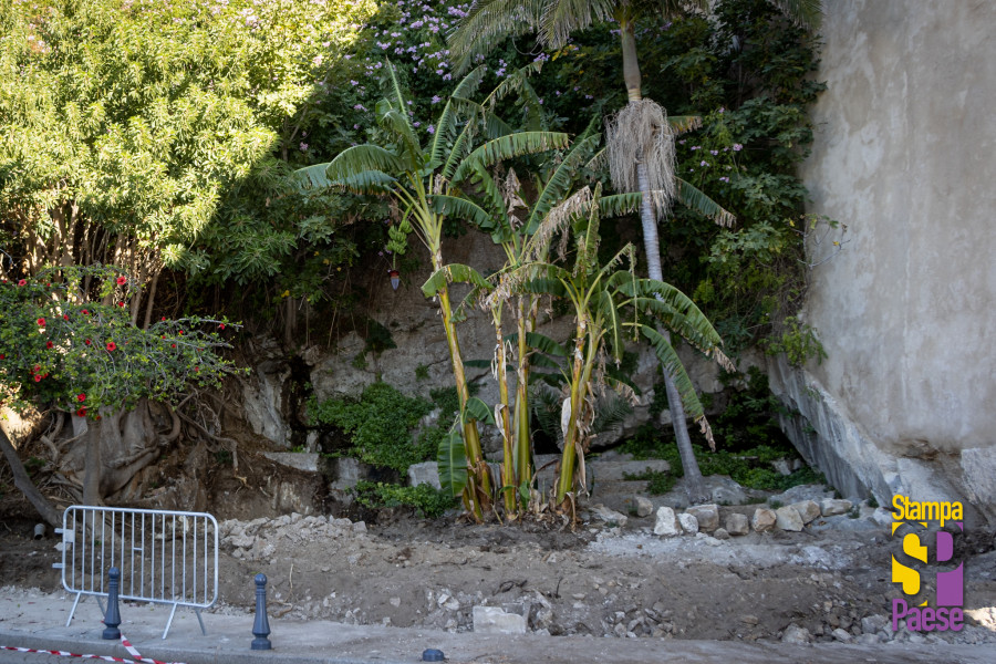 Jardin dit du bananier