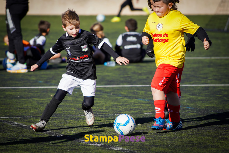 Tournoi