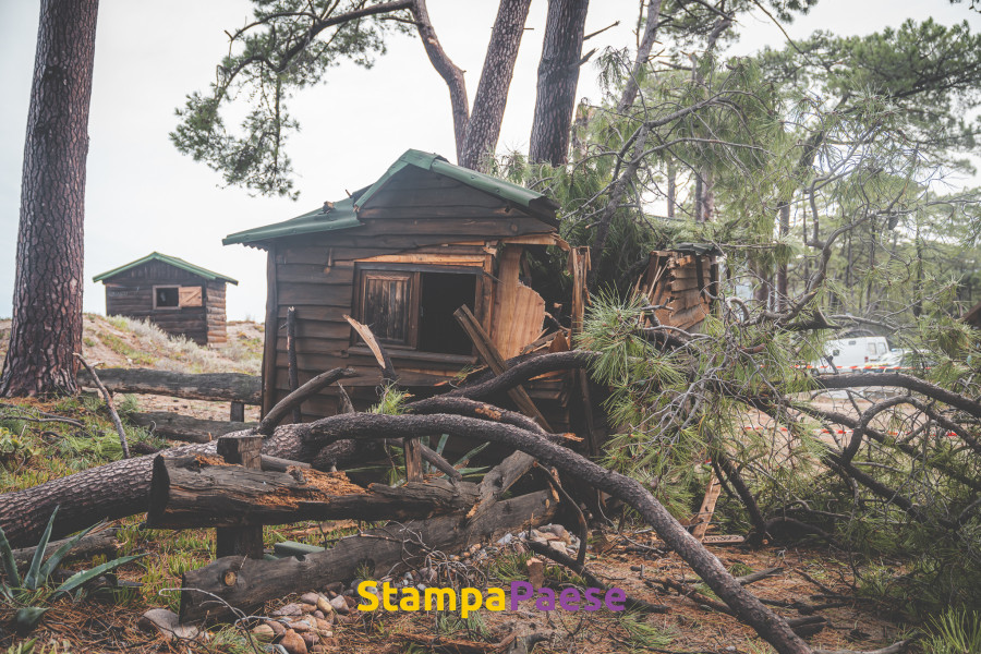 tempête