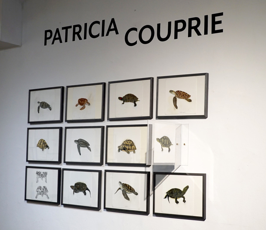 Hommage à Patricia Couprie