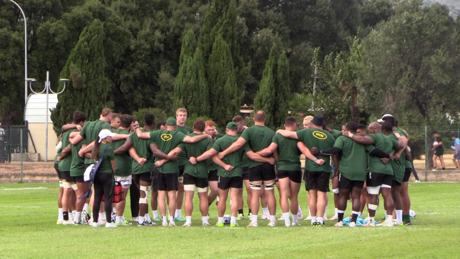 photo springboks ma