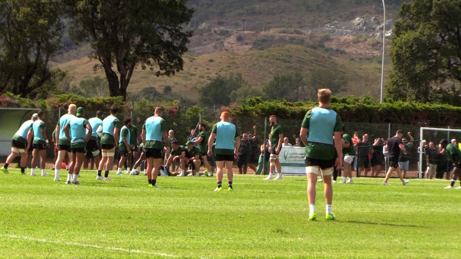 photo springboks ma
