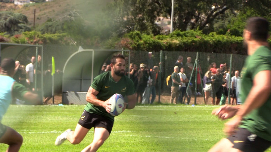 photo springboks ma