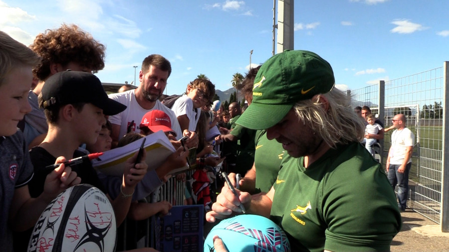 photo springboks