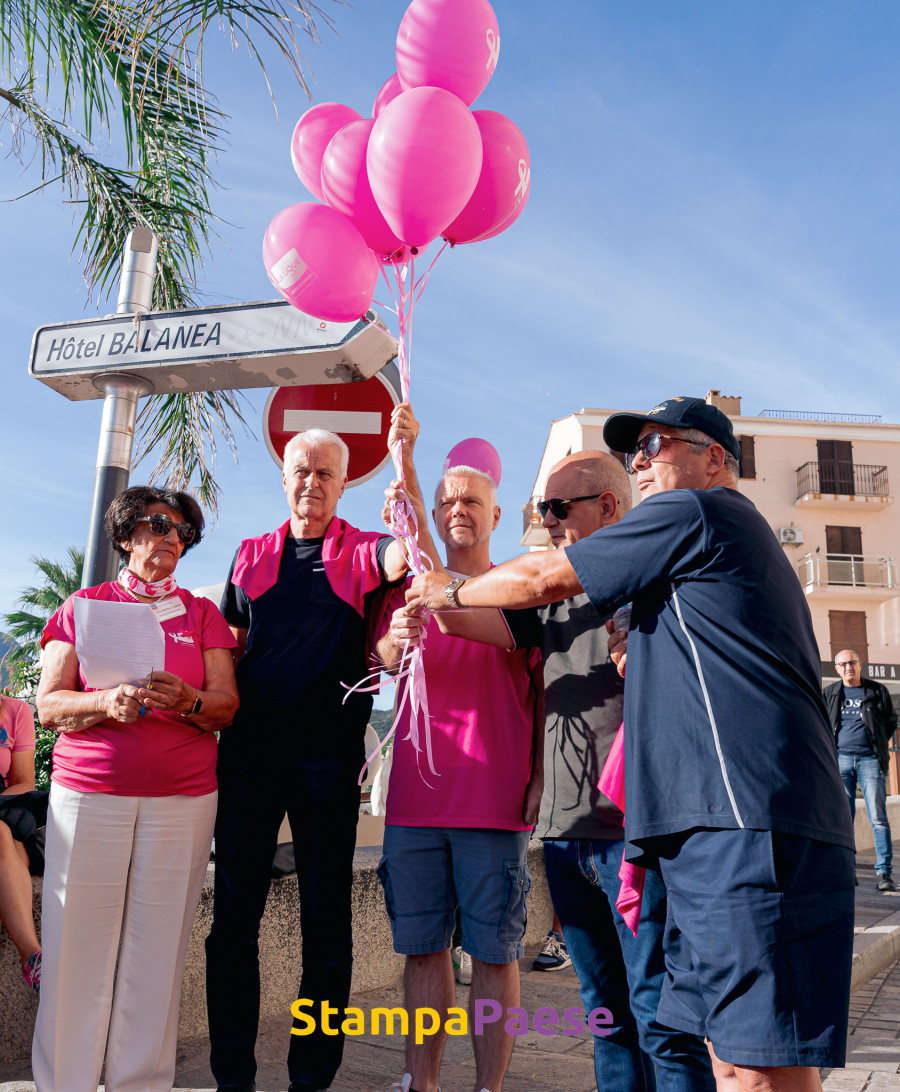 MARCHE ROSE