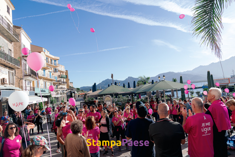marche rose