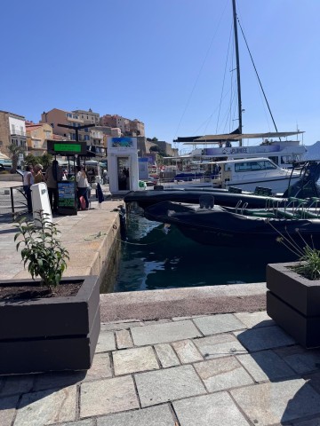 calvi