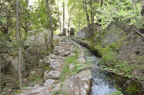 rivière