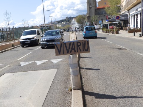 L'école de Vivariu est menacée de fermeture.